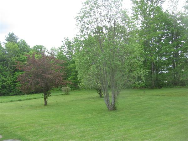 16 Jordan Road Cummington, MA 01026 - Photo 6 of 14 Gallery Image 6