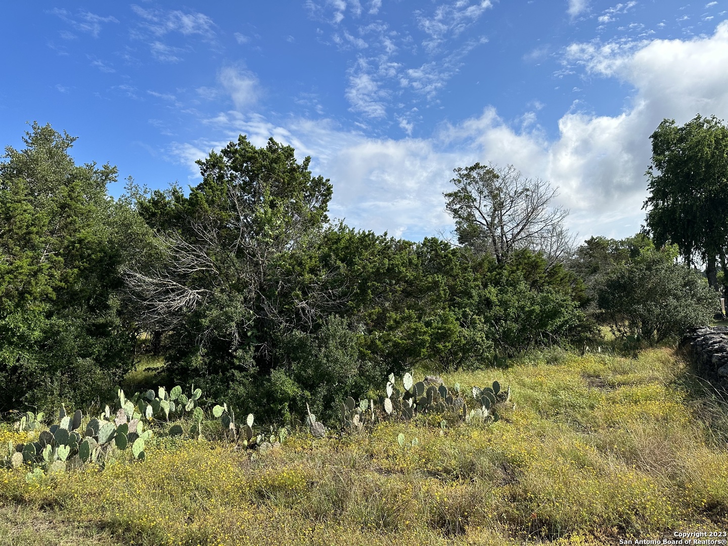 1119 Hidden Valley Drive Spring Branch, TX 78070 - Photo 1 of 1 a view of a yard