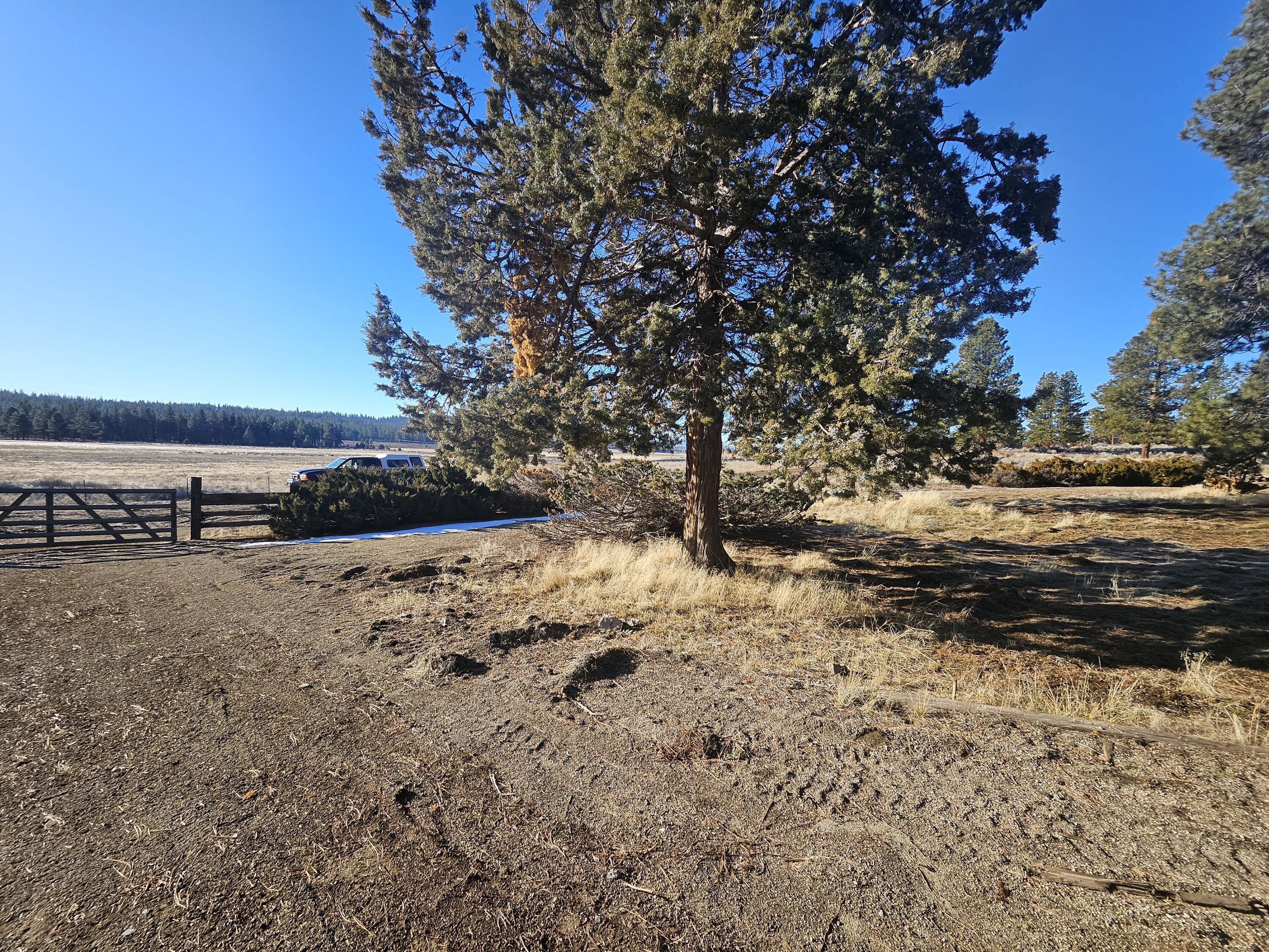 31747 Godowa Springs Road Beatty, OR 97621 - Photo 13 of 23 20260117_094915