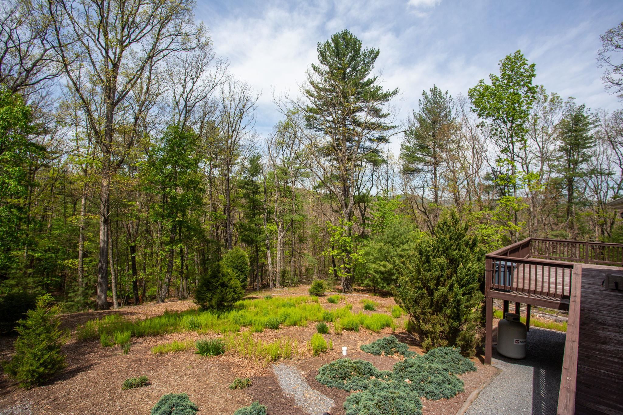 324 Mountaintop Drive Mathias, WV 26812 - Photo 23 of 27 Gardens in back.
