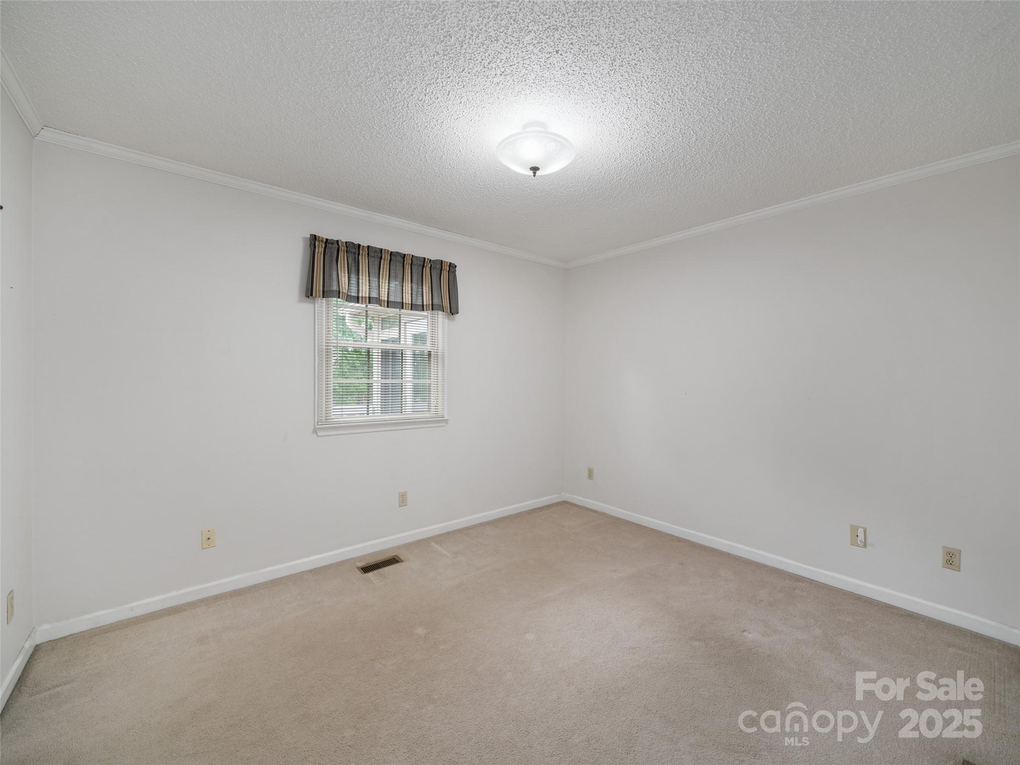 321 Jupiter Road Weaverville, NC 28787 - Photo 23 of 44