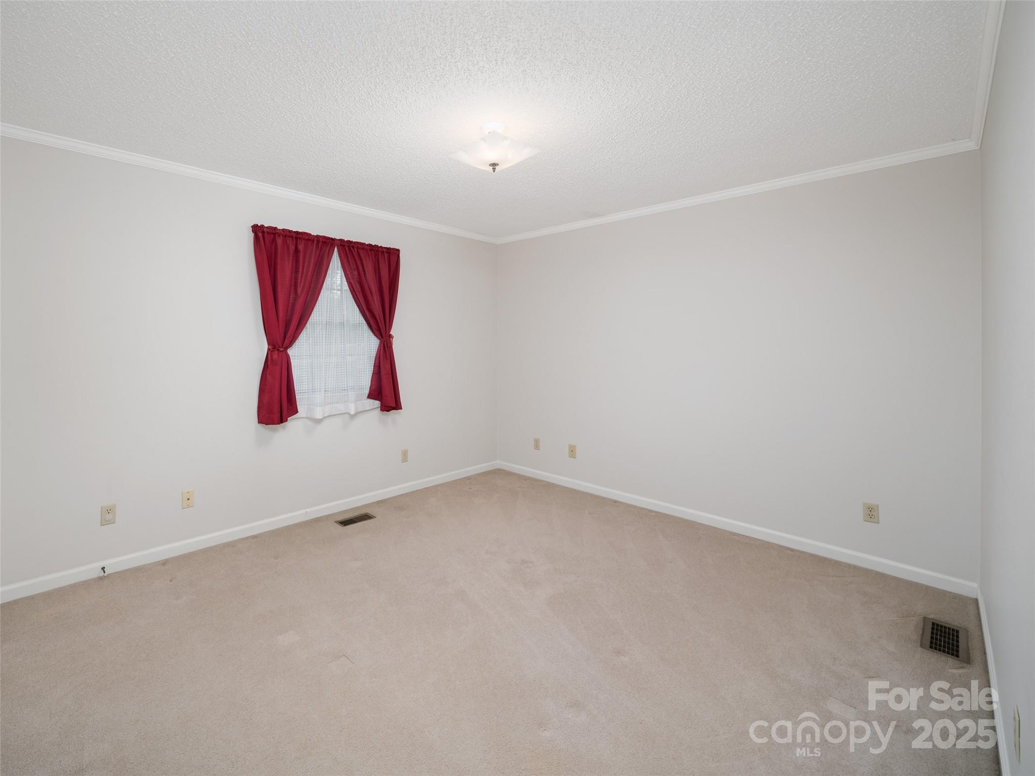 321 Jupiter Road Weaverville, NC 28787 - Photo 28 of 44