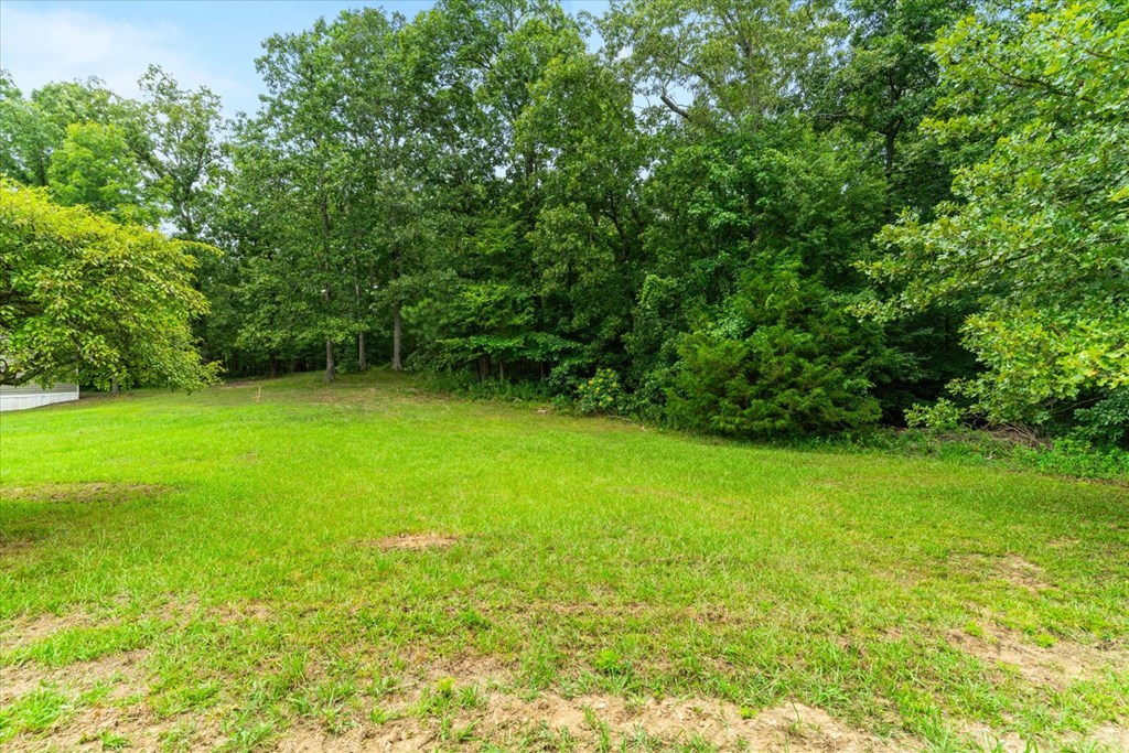 1547 Prince Beam Road Chatsworth, GA 30705 - Photo 41 of 44 Gallery Image 41