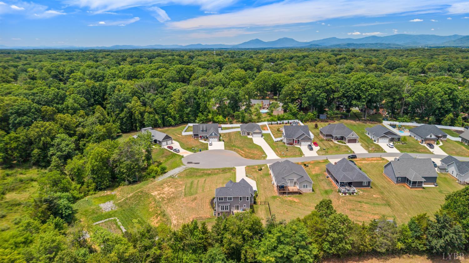 266 Timber Ridge Drive Forest, VA 24551 - Photo 59 of 69