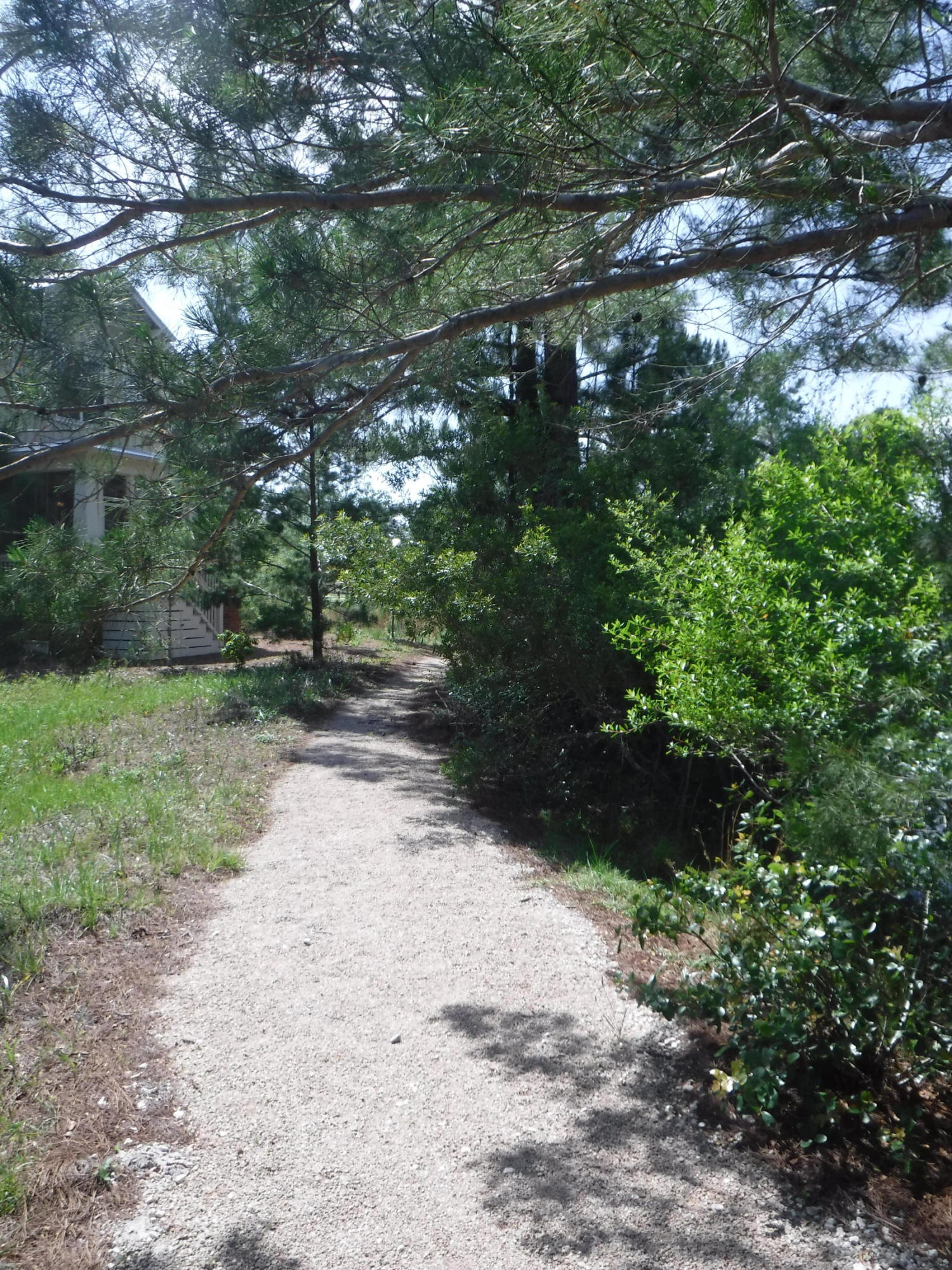 2 West N Nickajack Santa Rosa Beach Santa Rosa Beach, FL 32459 - Photo 22 of 42 Gallery Image 22