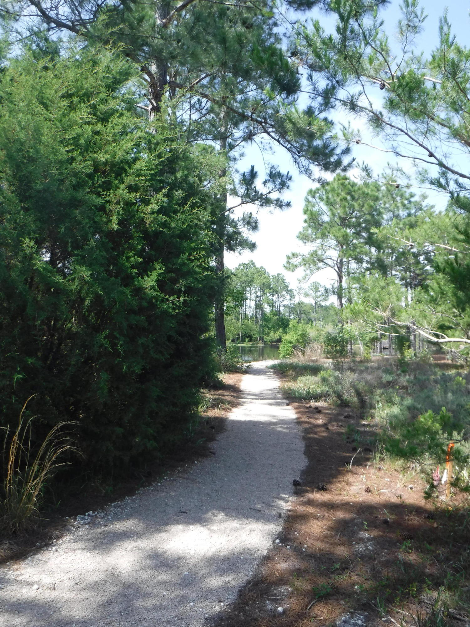 2 West N Nickajack Santa Rosa Beach Santa Rosa Beach, FL 32459 - Photo 24 of 42 Gallery Image 24