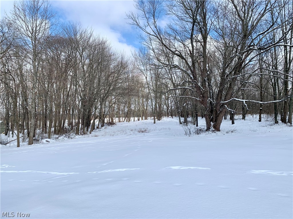 324 Seville Road Wadsworth, OH 44281 - Photo 22 of 22 Gallery Image 22