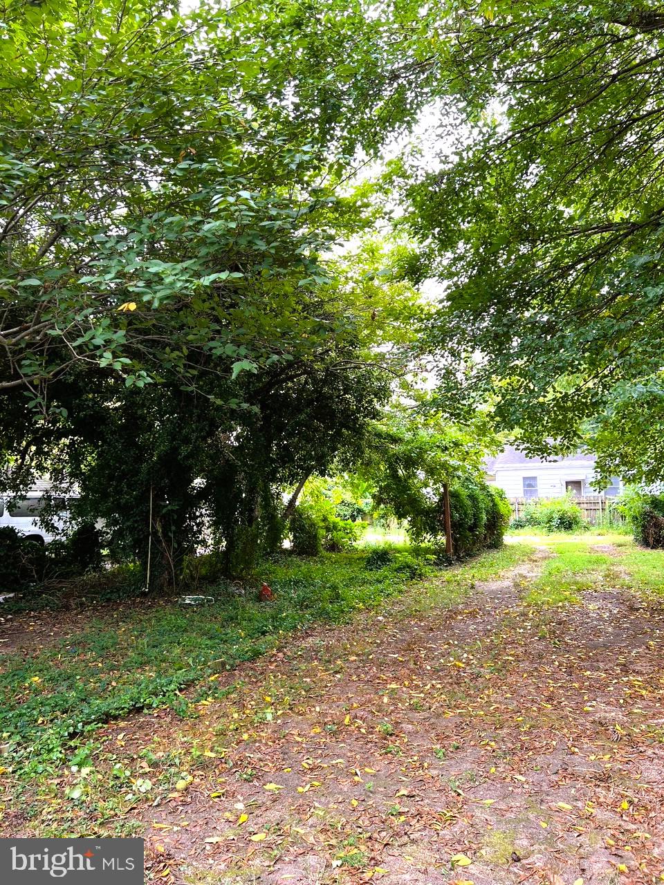 18 New Street Bridgeton, NJ 08302 - Photo 24 of 24 back yard off alley