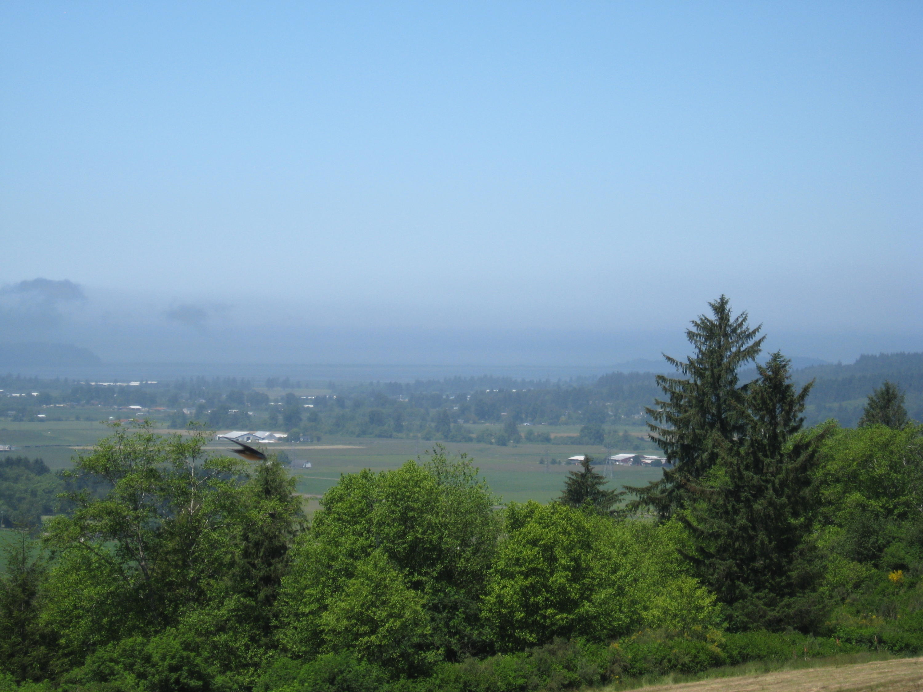 Lot Skyview Lot Skyview Road Tillamook, OR 97141 - Photo 15 of 20 014