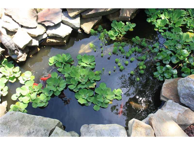416 Dillon Road Acme, PA 15610 - Photo 14 of 18 Other. One of three ponds
