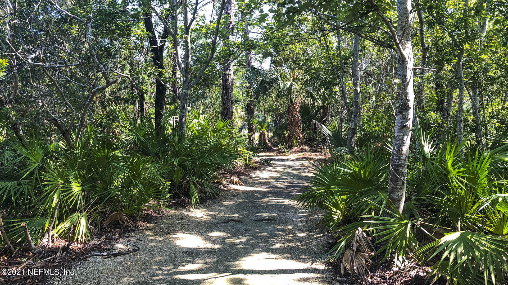 705 Amberjack Lane Atlantic Beach, FL 32233 - Photo 31 of 40 031_Walking Trails Dutton Island
