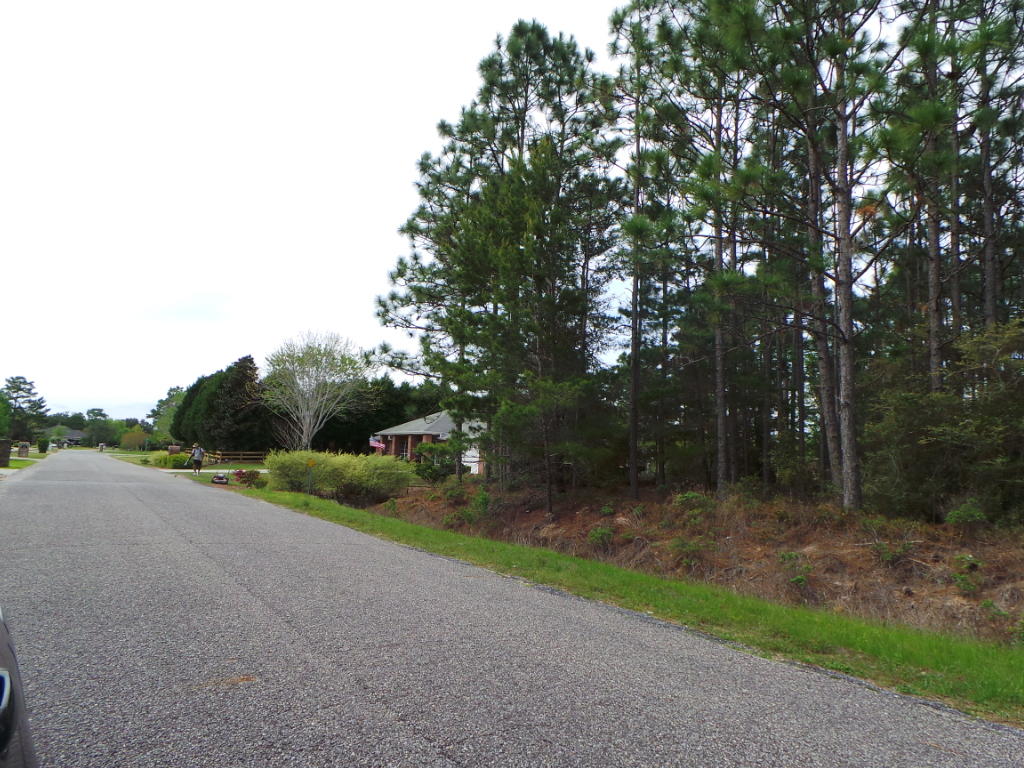 Lot 8 Cove Road Navarre, FL 32566 - Photo 3 of 3 a view of a field and trees around