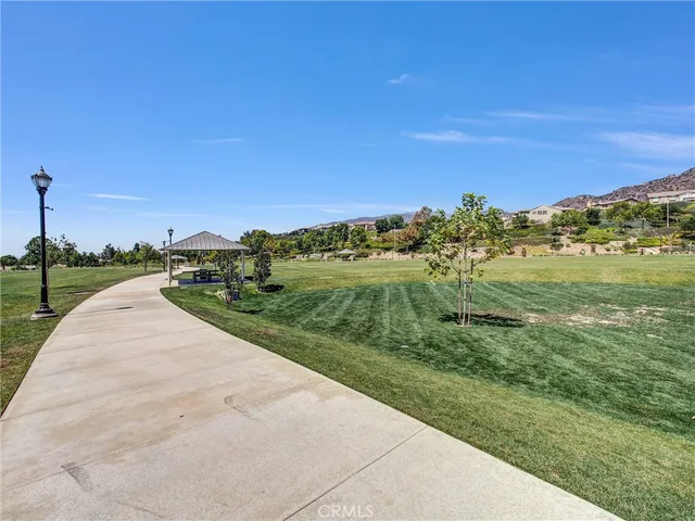 a view of a potted plants on a sidewalk