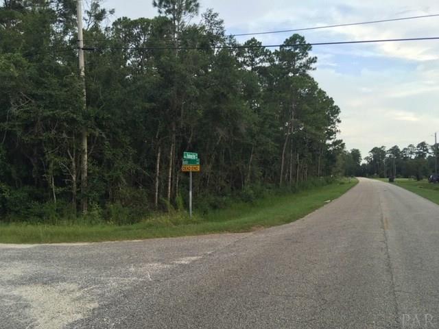 Austin Road Milton, FL 32583 - Photo 1 of 4