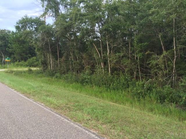Austin Road Milton, FL 32583 - Photo 3 of 4