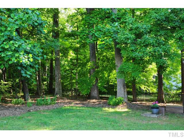 2017 Stoneglen Lane Raleigh, NC 27603 - Photo 14 of 17 Yard