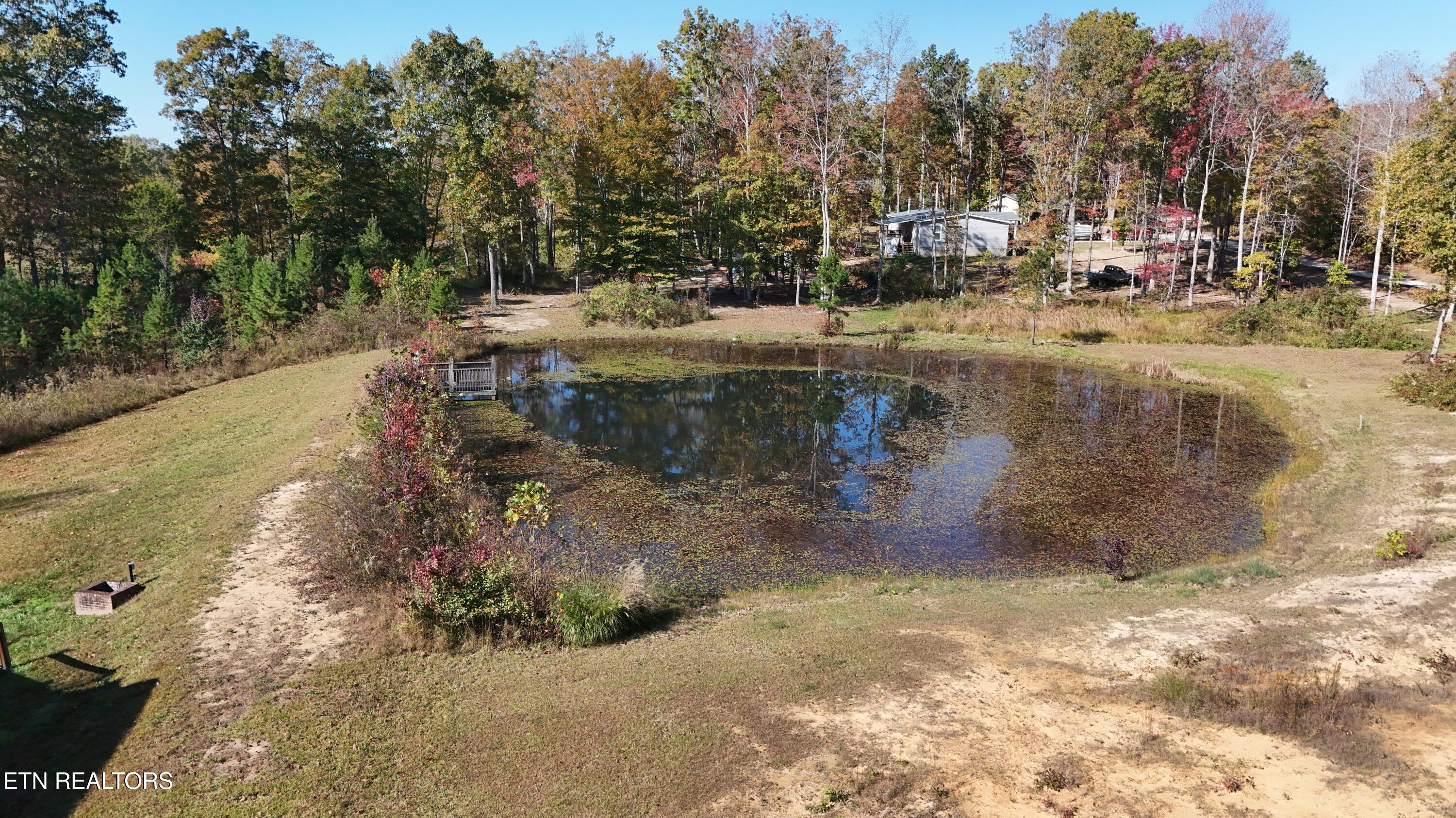 1050 Jane Phillips Road Oneida, TN 37841 - Photo 6 of 45 55
