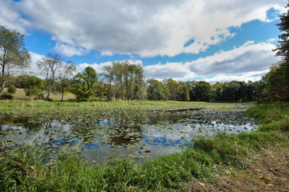 13355 Litts Road Delton, MI 49046 - Photo 29 of 49 13355 Litts Road-29