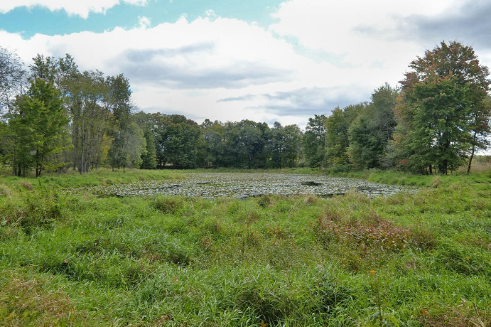 13355 Litts Road Delton, MI 49046 - Photo 30 of 49 13355 Litts Road-30