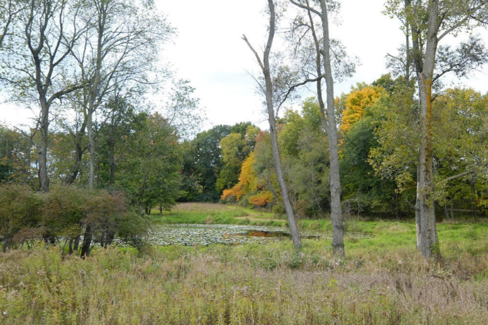 13355 Litts Road Delton, MI 49046 - Photo 31 of 49 13355 Litts Road-31