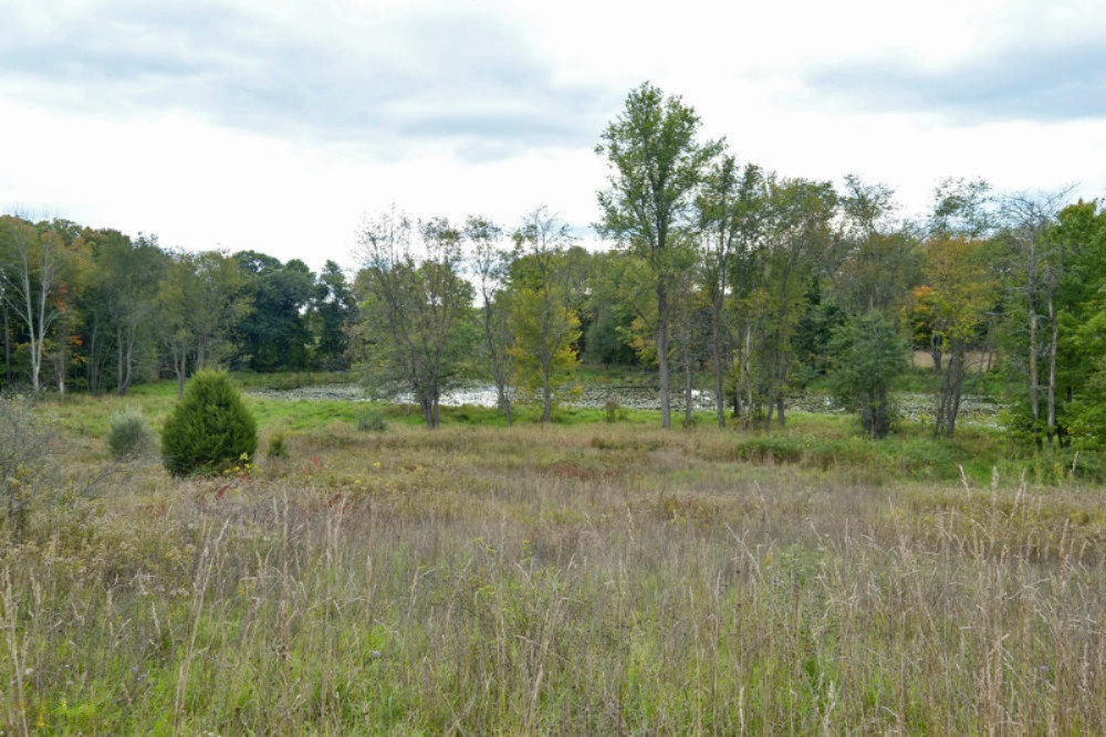 13355 Litts Road Delton, MI 49046 - Photo 32 of 49 13355 Litts Road-32