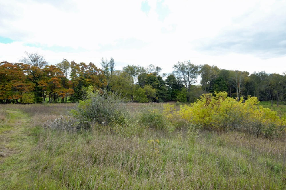 13355 Litts Road Delton, MI 49046 - Photo 33 of 49 13355 Litts Road-33
