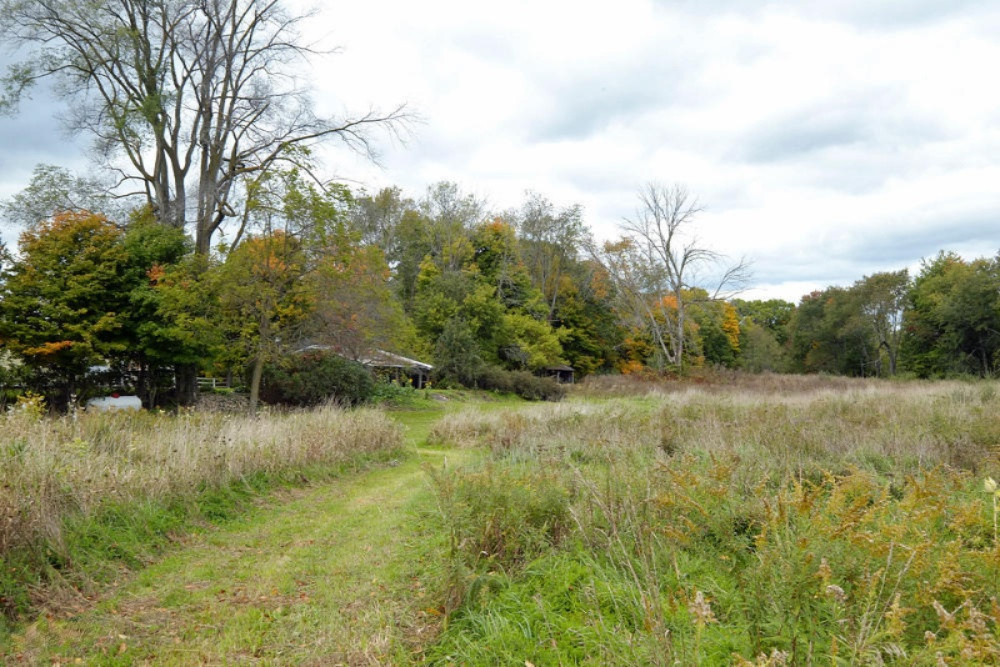 13355 Litts Road Delton, MI 49046 - Photo 35 of 49 13355 Litts Road-35