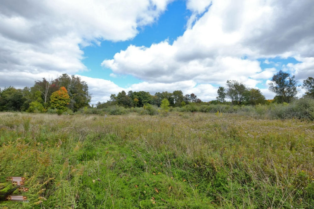 13355 Litts Road Delton, MI 49046 - Photo 36 of 49 13355 Litts Road-36