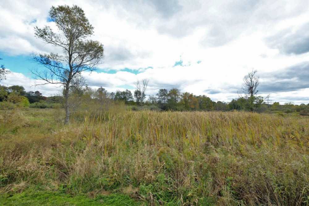 13355 Litts Road Delton, MI 49046 - Photo 41 of 49 13355 Litts Road-43