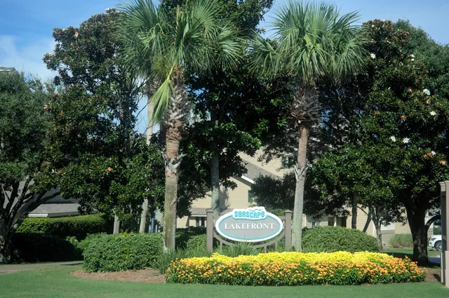 a view of a backyard with plants and a patio