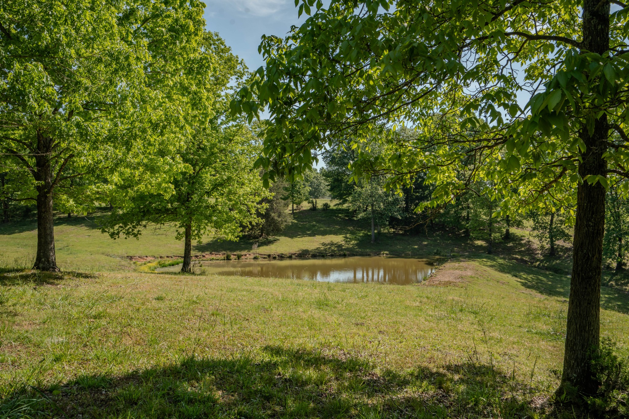 875 Waterloo Road Westpoint, TN 38486 - Photo 77 of 89 Gallery Image 77