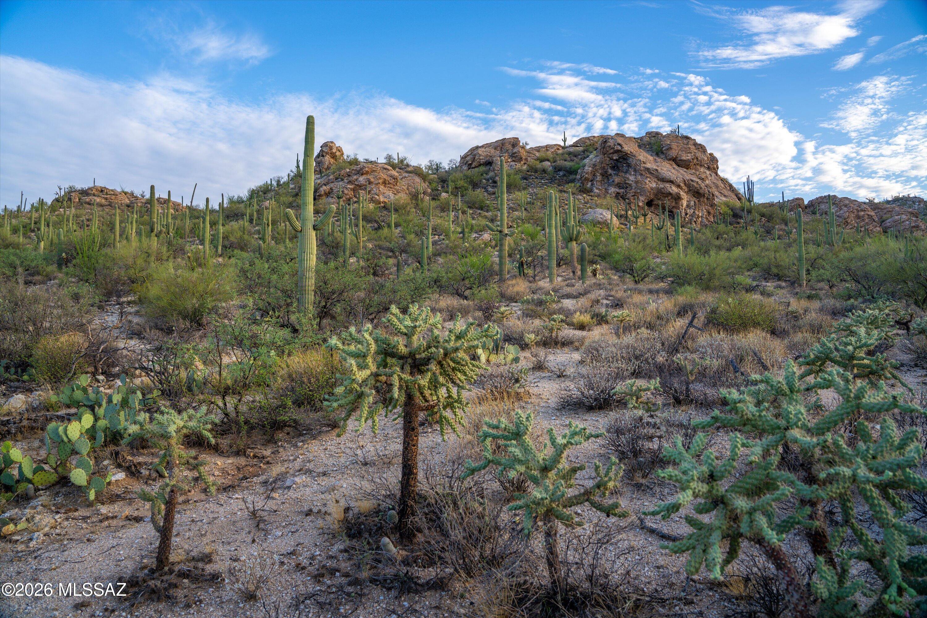 13945 East Redington Road, Unit 87 Tucson, AZ 85749 - Photo 13 of 34 Facing North West