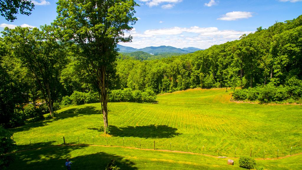 2899 Gribble Edwards Road Hayesville, NC 28904 - Photo 21 of 65 Lower level view
