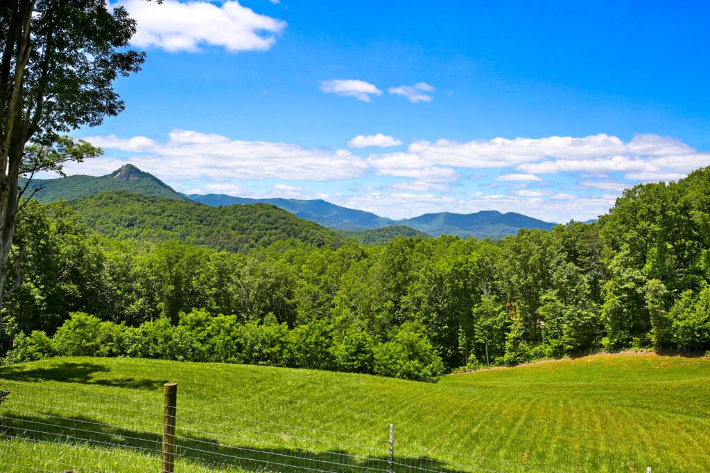 2899 Gribble Edwards Road Hayesville, NC 28904 - Photo 4 of 65 Gallery Image 4