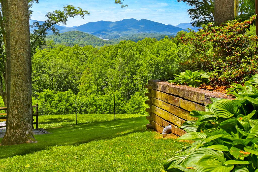 2899 Gribble Edwards Road Hayesville, NC 28904 - Photo 9 of 65 Gallery Image 9
