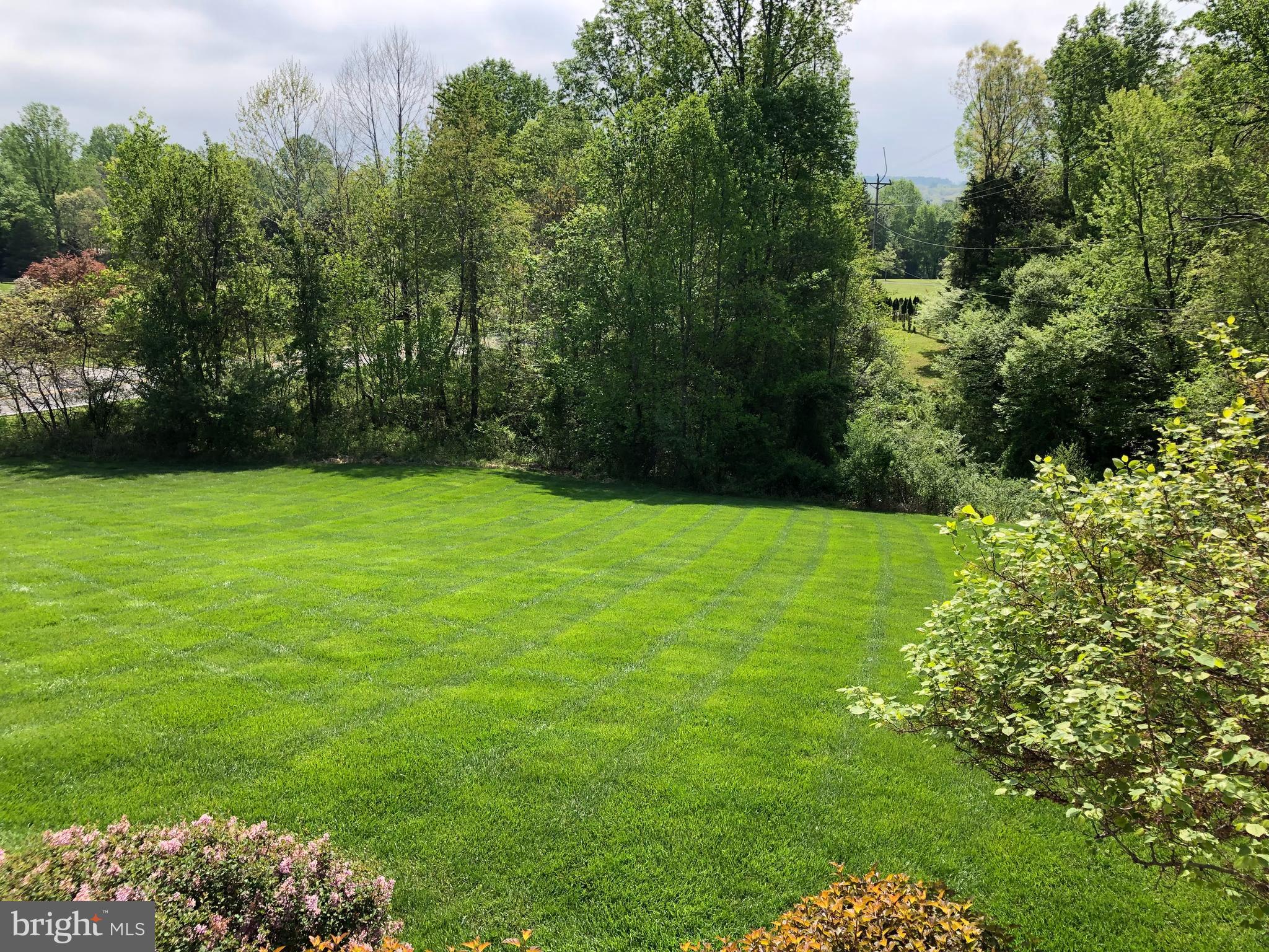 8094 Leeds Manor Road Marshall, VA 20115 - Photo 6 of 24 Professional Landscaping