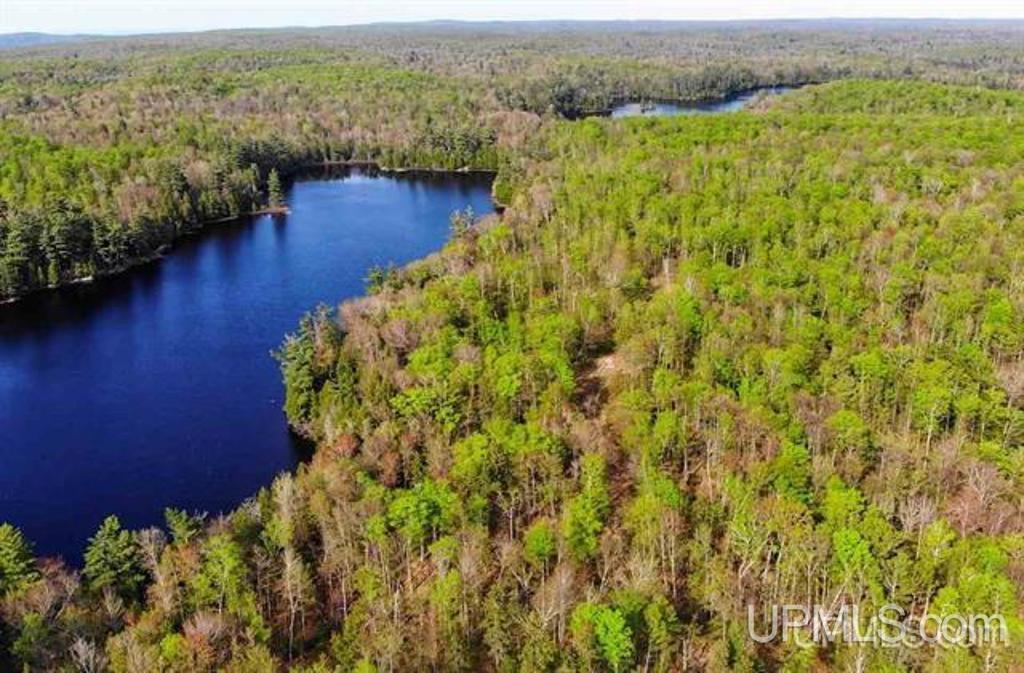 Tbd Tbd Durchman Lake Road Lanse, MI 49946 - Photo 24 of 56