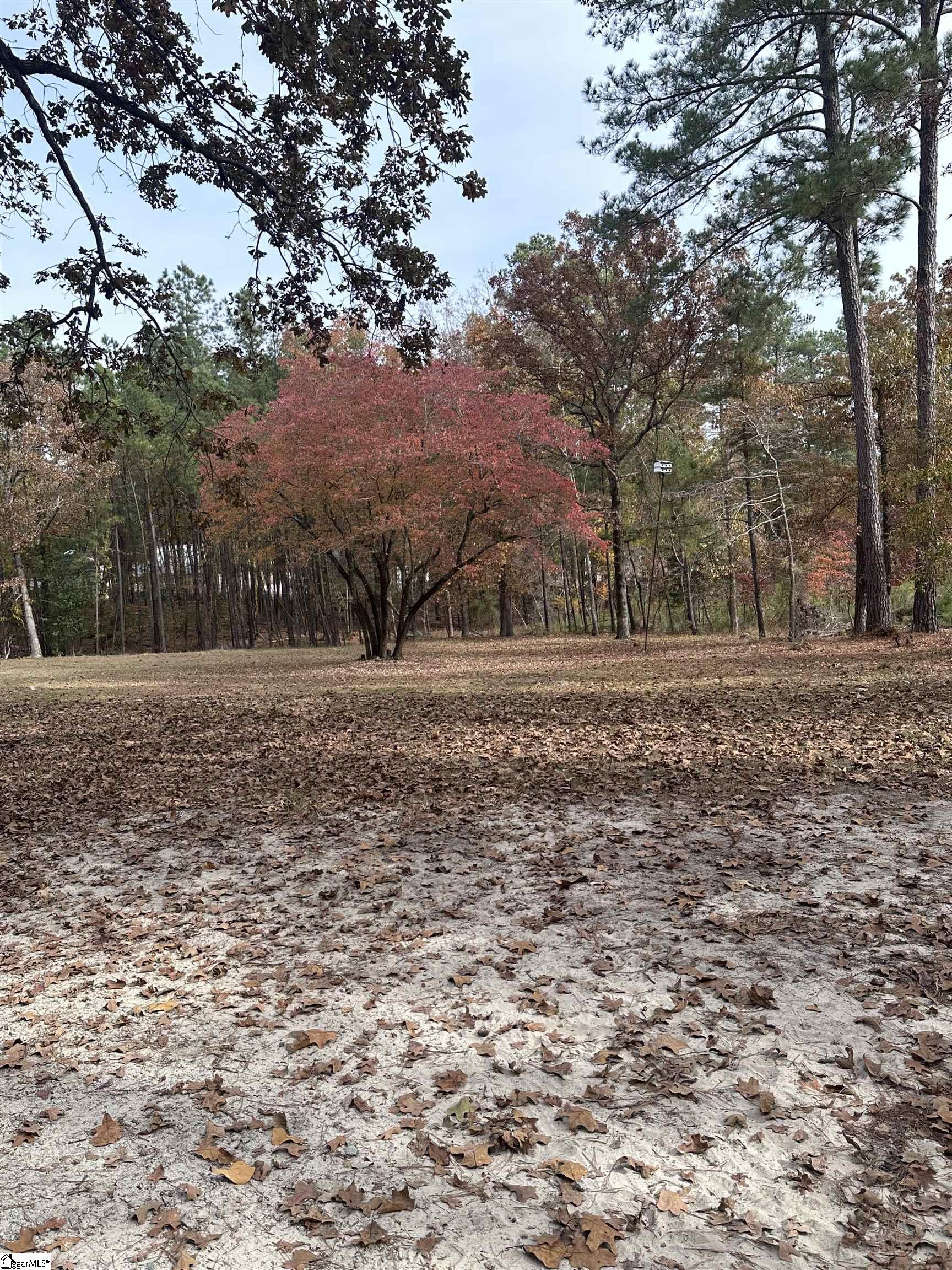 140 Whitaker Road Columbia, SC 29223 - Photo 5 of 15