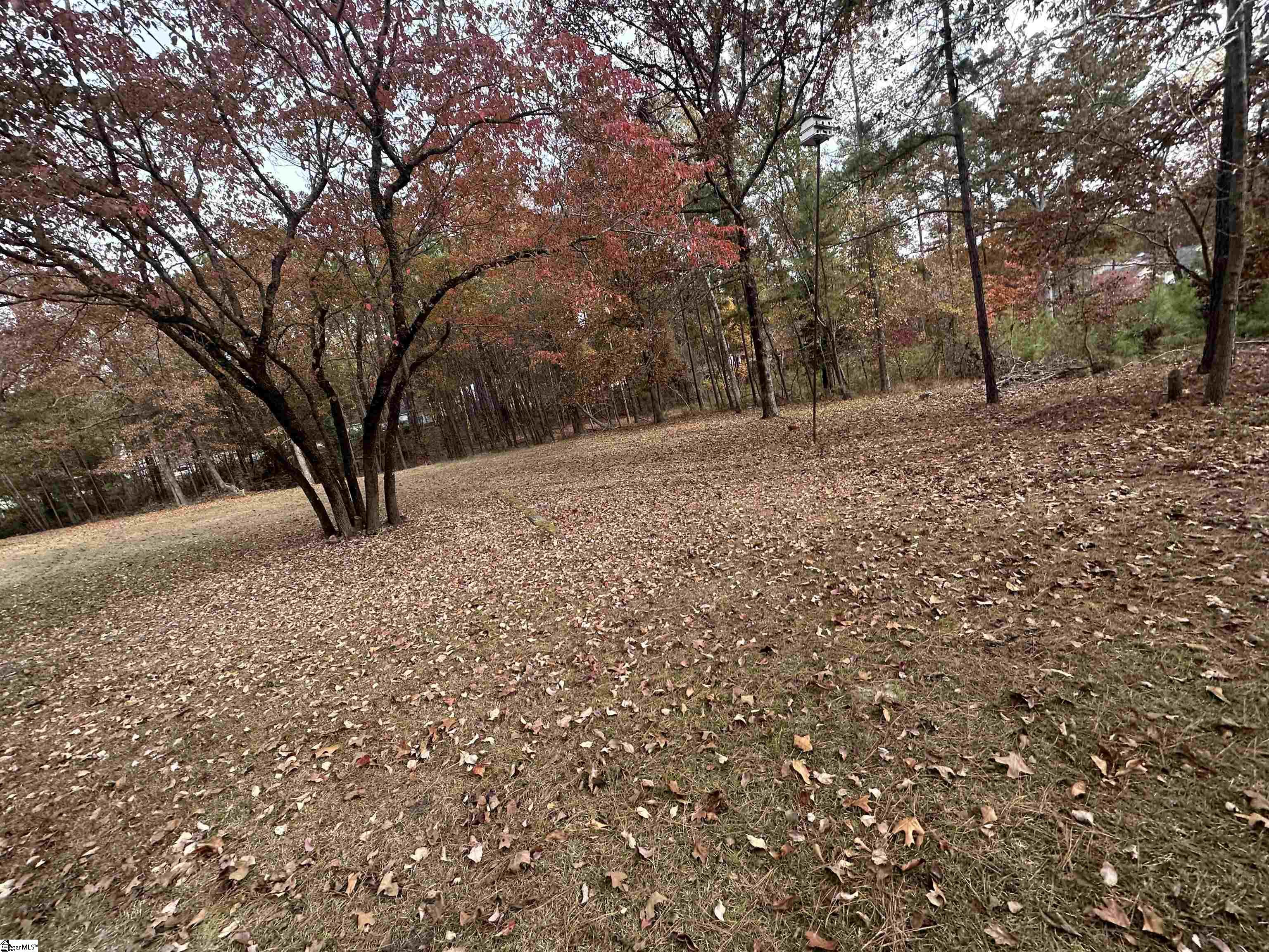 140 Whitaker Road Columbia, SC 29223 - Photo 6 of 15
