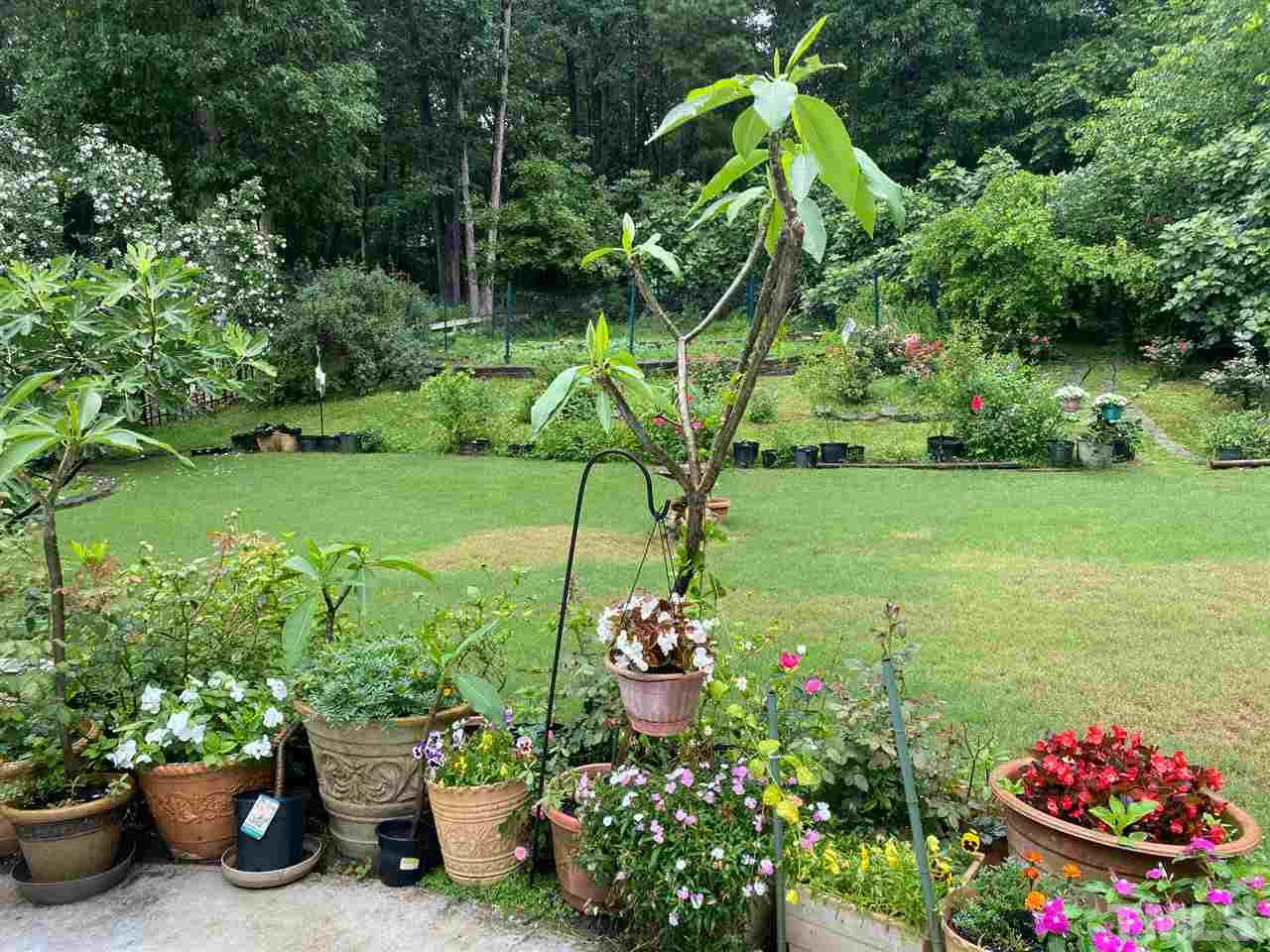 3904 Hemsbury Way Raleigh, NC 27612 - Photo 19 of 20 a bunch of flowers sitting in the garden