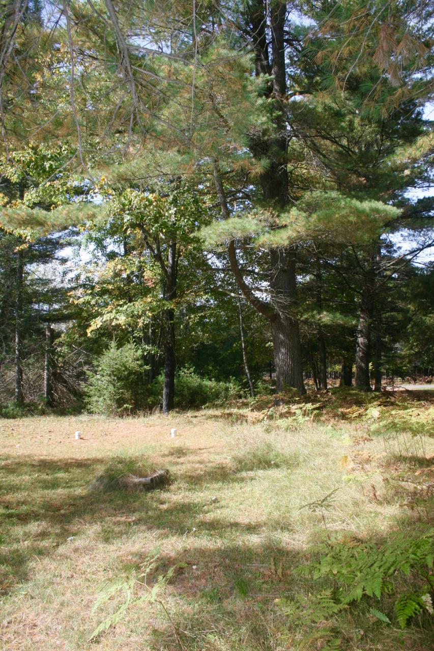 1970 North Farming Road Woodruff, WI 54568 - Photo 11 of 28 Gallery Image 11