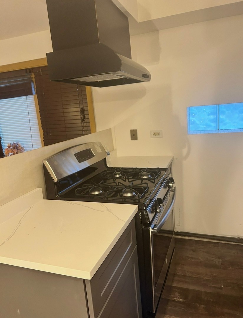 7336 39th Street Lyons, IL 60534 - Photo 8 of 10