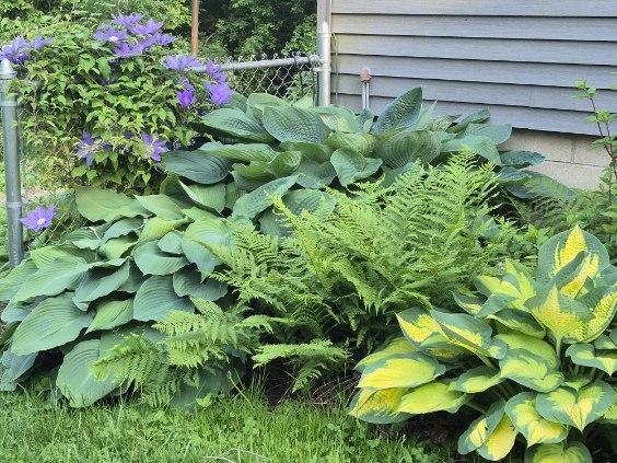 N2493 Kunz Road Fort Atkinson, WI 53538 - Photo 37 of 42