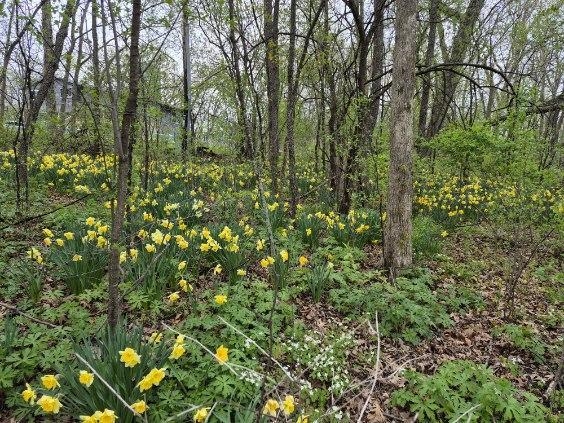 N2493 Kunz Road Fort Atkinson, WI 53538 - Photo 38 of 42