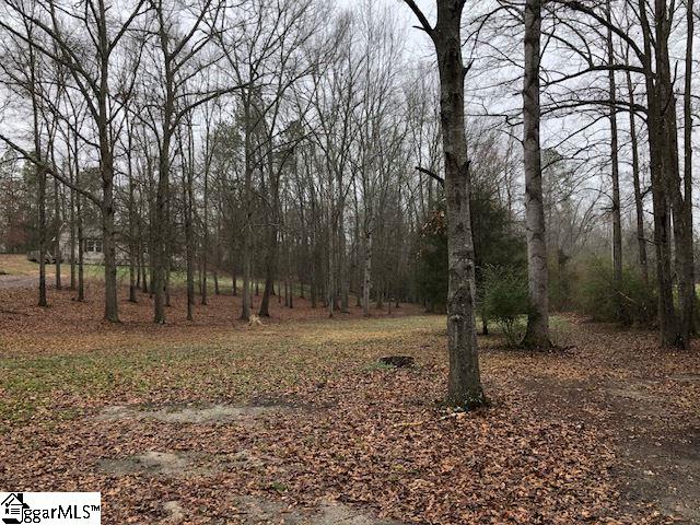 390 Cedar Falls Road Fountain Inn, SC 29644 - Photo 2 of 36