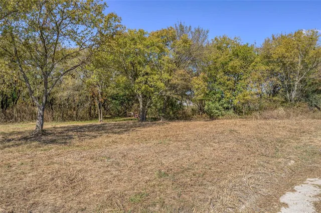 a view of a yard with a tree