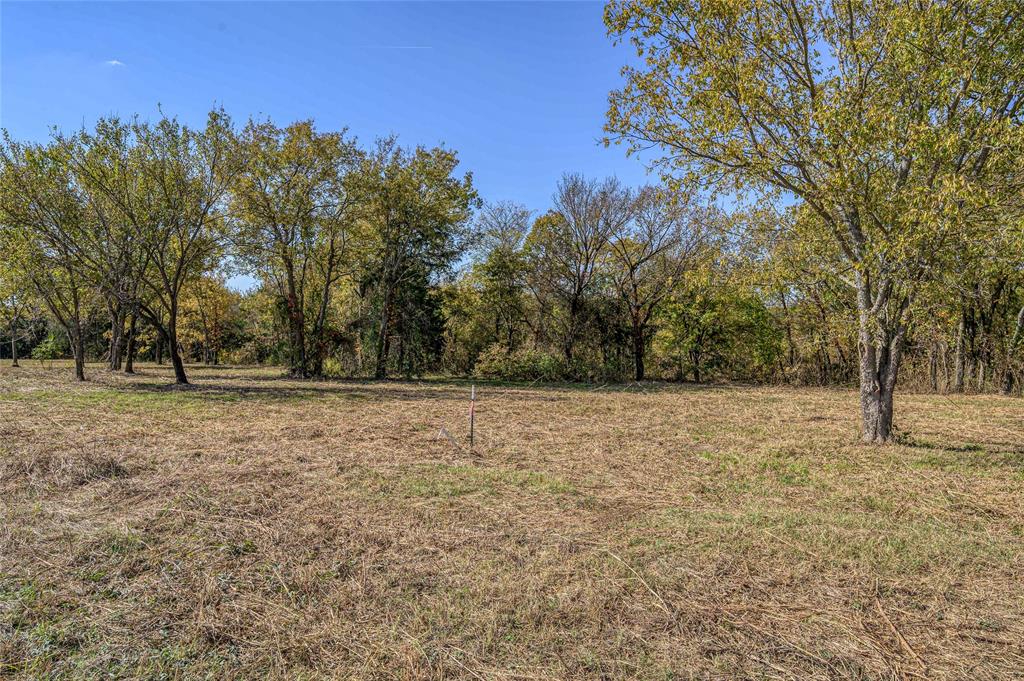 147 Shadow Trail Sherman, TX 75092 - Photo 4 of 10 a view of outdoor space with trees