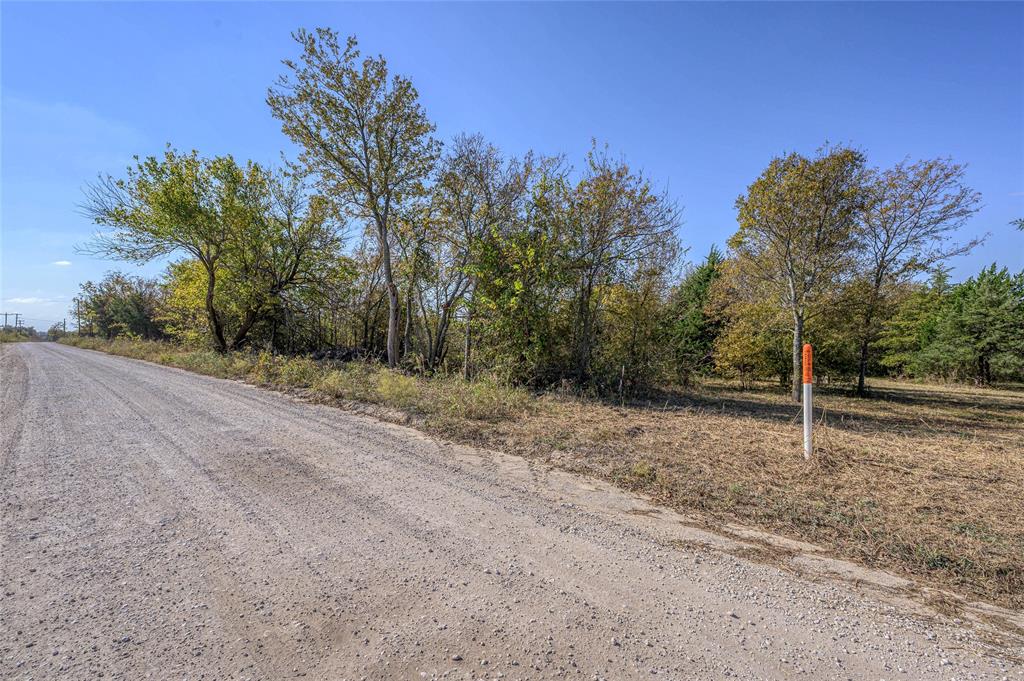 147 Shadow Trail Sherman, TX 75092 - Photo 7 of 10 a view of a yard with a tree
