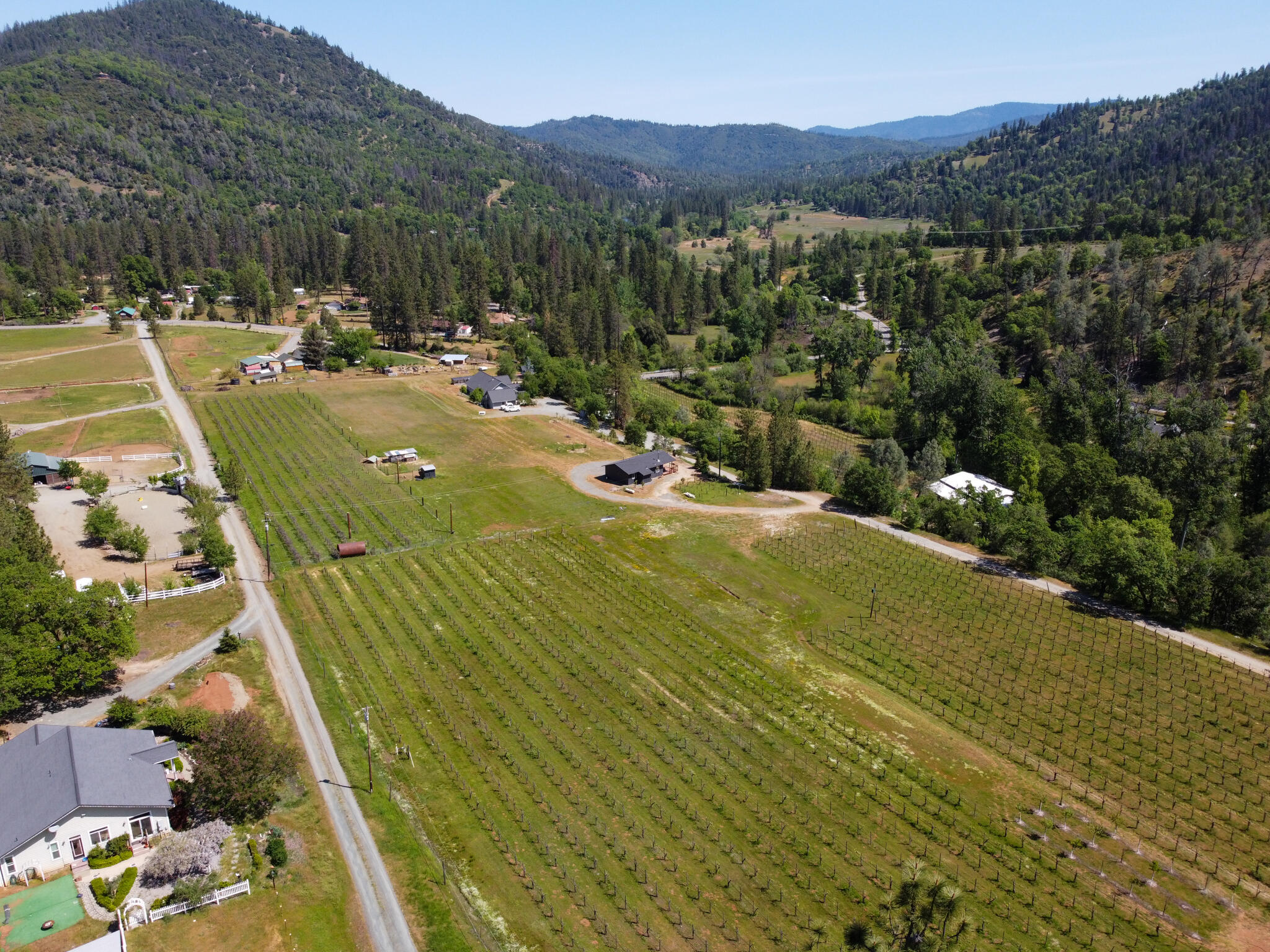 300 Dirt Road Lewiston, CA 96052 - Photo 3 of 54 Vineyard Aerial