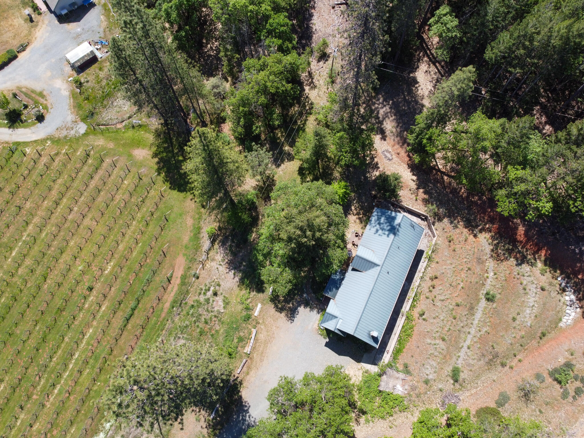 300 Dirt Road Lewiston, CA 96052 - Photo 54 of 54 home aerial